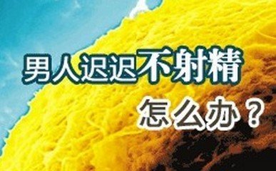 Բ侫ô